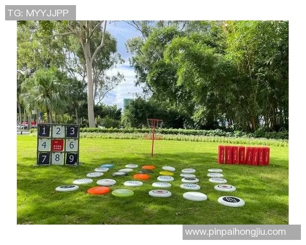 2026飞盘心理素质排行榜：北京飞盘队位居第3名